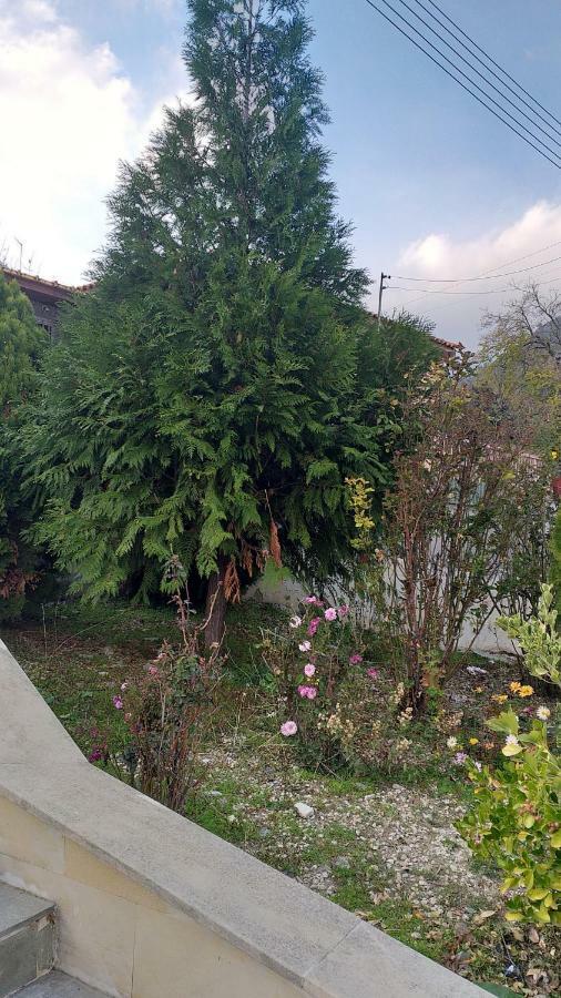 Protopapas House Káto Amíandosz Kültér fotó